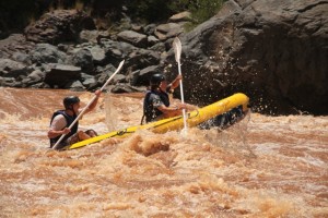 Some Croc raft action