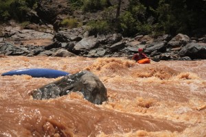 The Olifants paddle is for everybody, even those who think they can roll.