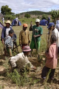 Locals planting new trees